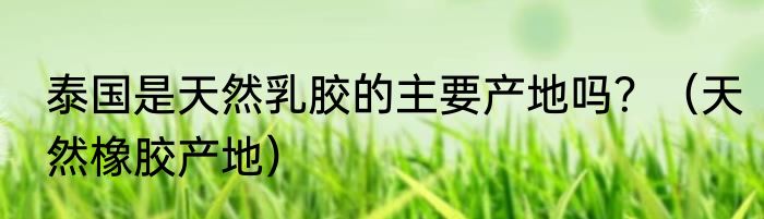 泰国是天然乳胶的主要产地吗？（天然橡胶产地）