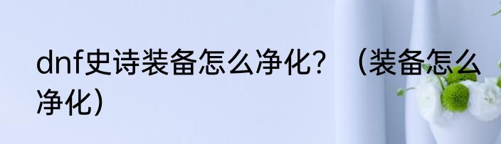 dnf史诗装备怎么净化？（装备怎么净化）