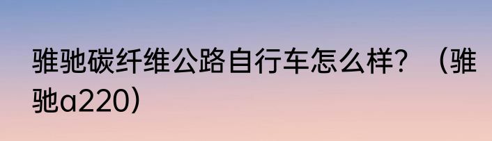 骓驰碳纤维公路自行车怎么样？（骓驰a220）