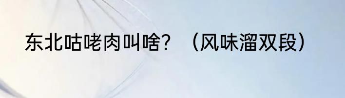 东北咕咾肉叫啥？（风味溜双段）