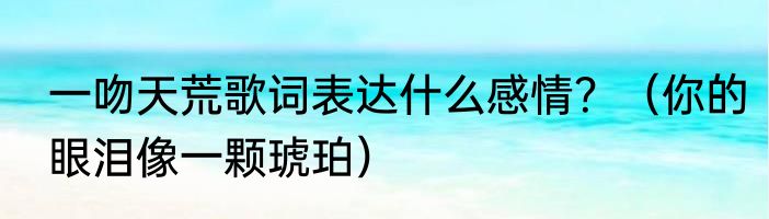 一吻天荒歌词表达什么感情？（你的眼泪像一颗琥珀）