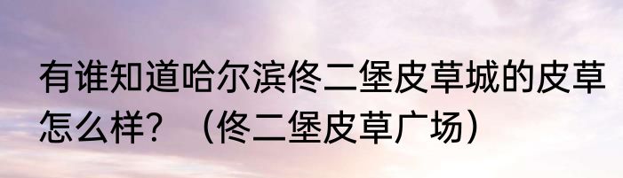 有谁知道哈尔滨佟二堡皮草城的皮草怎么样？（佟二堡皮草广场）