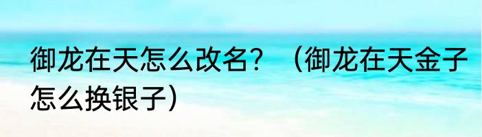 御龙在天怎么改名？（御龙在天金子怎么换银子）