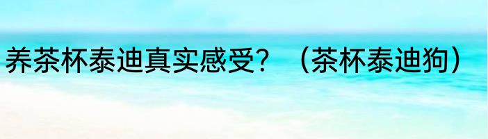 养茶杯泰迪真实感受？（茶杯泰迪狗）