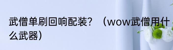 武僧单刷回响配装？（wow武僧用什么武器）