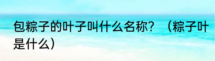 包粽子的叶子叫什么名称？（粽子叶是什么）