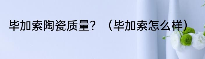 毕加索陶瓷质量？（毕加索怎么样）