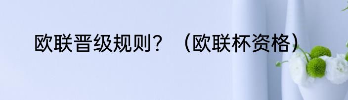 欧联晋级规则？（欧联杯资格）