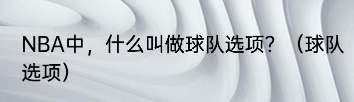 NBA中，什么叫做球队选项？（球队选项）