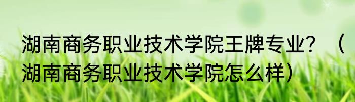 湖南商务职业技术学院王牌专业？（湖南商务职业技术学院怎么样）