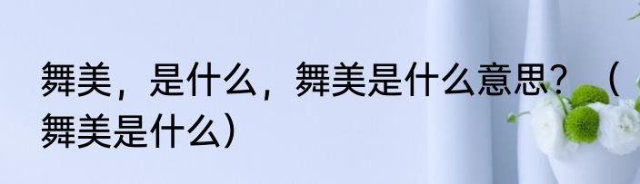 舞美，是什么，舞美是什么意思？（舞美是什么）