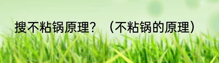 搜不粘锅原理？（不粘锅的原理）