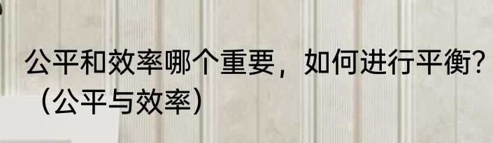 公平和效率哪个重要，如何进行平衡？（公平与效率）