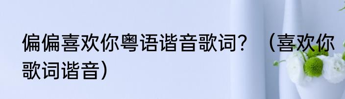 偏偏喜欢你粤语谐音歌词？（喜欢你歌词谐音）