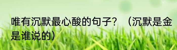 唯有沉默最心酸的句子？（沉默是金是谁说的）