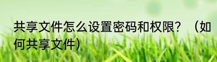 共享文件怎么设置密码和权限？（如何共享文件）