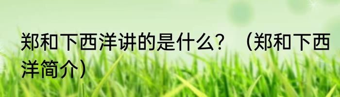 郑和下西洋讲的是什么？（郑和下西洋简介）