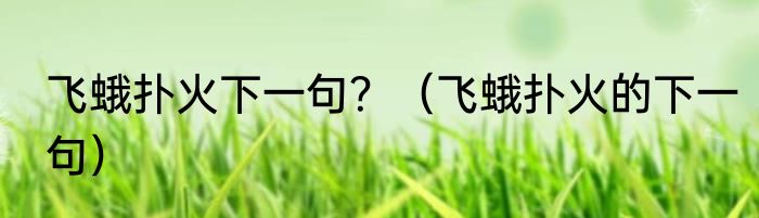 飞蛾扑火下一句？（飞蛾扑火的下一句）