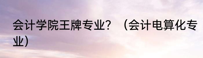 会计学院王牌专业？（会计电算化专业）