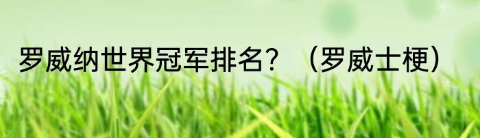 罗威纳世界冠军排名？（罗威士梗）