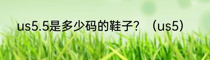 us5.5是多少码的鞋子？（us5）