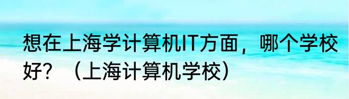 想在上海学计算机IT方面，哪个学校好？（上海计算机学校）