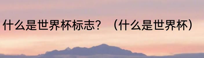 什么是世界杯标志？（什么是世界杯）