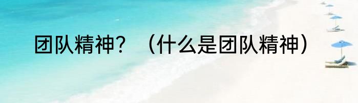 团队精神？（什么是团队精神）