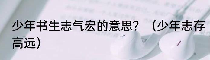 少年书生志气宏的意思？（少年志存高远）