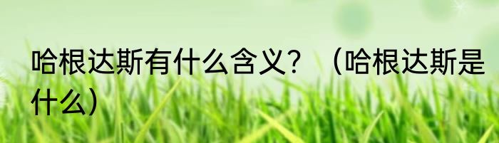 哈根达斯有什么含义？（哈根达斯是什么）