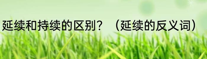 延续和持续的区别？（延续的反义词）