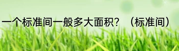 一个标准间一般多大面积？（标准间）