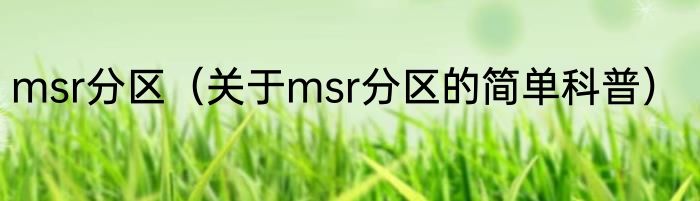 msr分区（关于msr分区的简单科普）