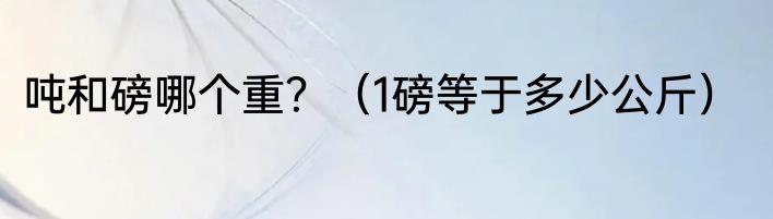 吨和磅哪个重？（1磅等于多少公斤）