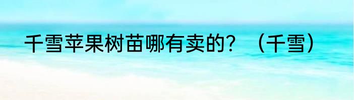 千雪苹果树苗哪有卖的？（千雪）