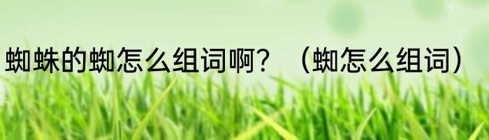 蜘蛛的蜘怎么组词啊？（蜘怎么组词）