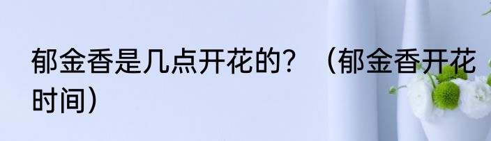 郁金香是几点开花的？（郁金香开花时间）