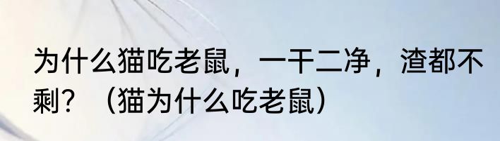 为什么猫吃老鼠，一干二净，渣都不剩？（猫为什么吃老鼠）