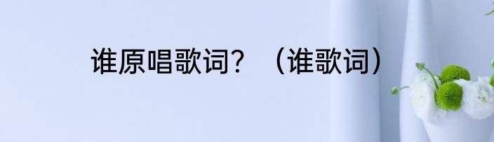 谁原唱歌词？（谁歌词）