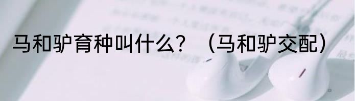 马和驴育种叫什么？（马和驴交配）