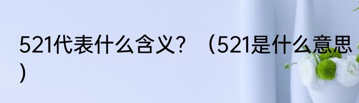 521代表什么含义？（521是什么意思）