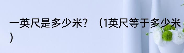 一英尺是多少米？（1英尺等于多少米）