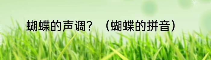 蝴蝶的声调？（蝴蝶的拼音）