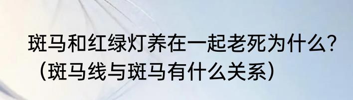 斑马和红绿灯养在一起老死为什么？（斑马线与斑马有什么关系）