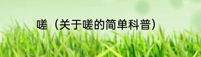 嗟（关于嗟的简单科普）