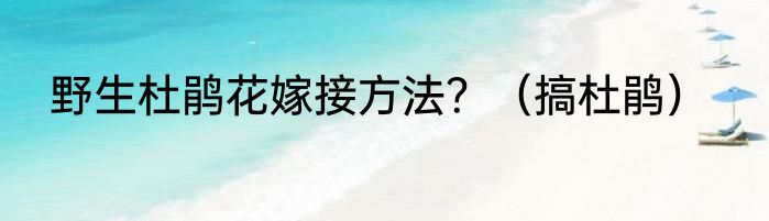 野生杜鹃花嫁接方法？（搞杜鹃）