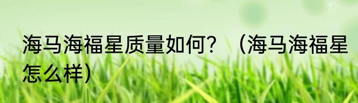 海马海福星质量如何？（海马海福星怎么样）