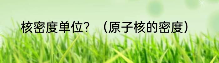 核密度单位？（原子核的密度）