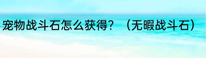 宠物战斗石怎么获得？（无暇战斗石）