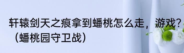 轩辕剑天之痕拿到蟠桃怎么走，游戏？（蟠桃园守卫战）